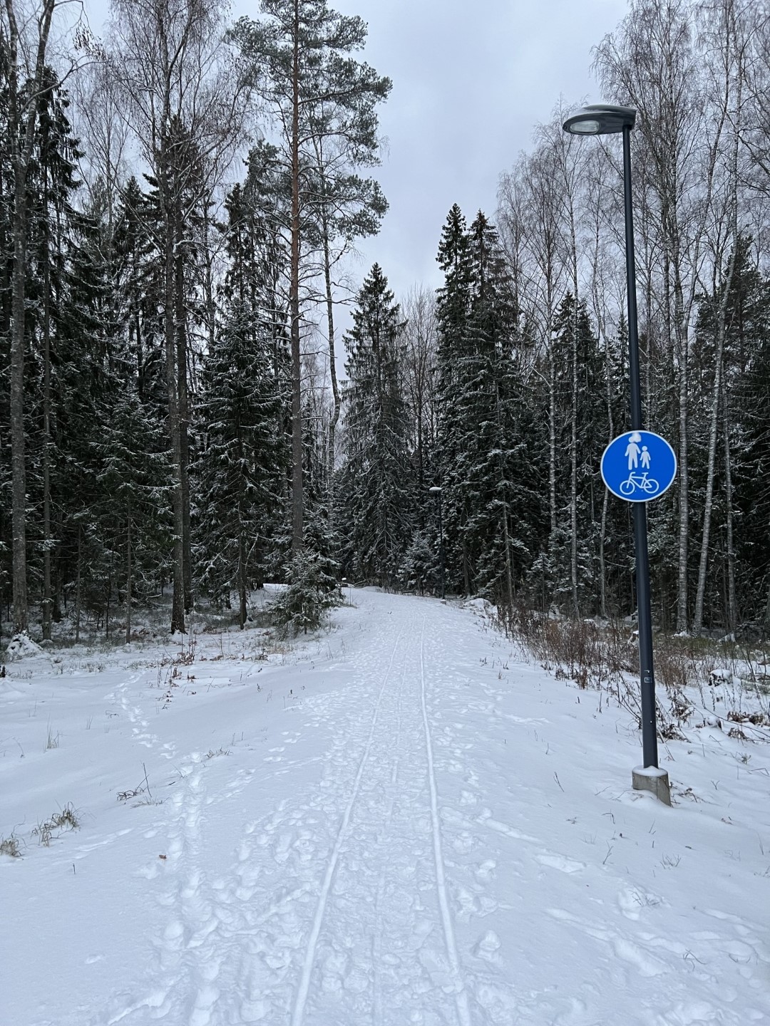 A snow-covered pedestrian/cycling path through a small forest